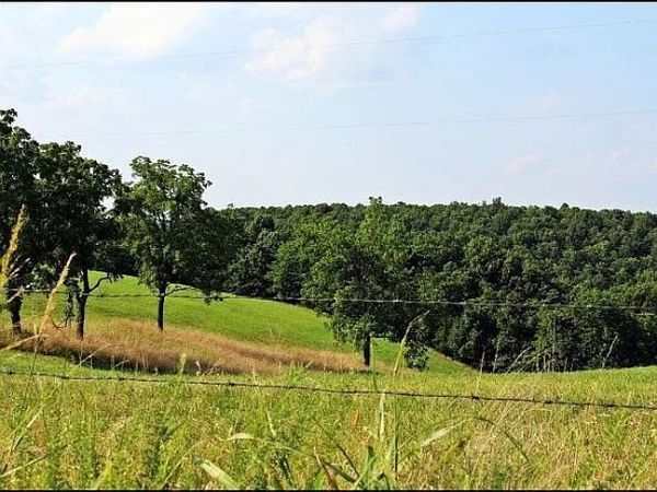 3673 Grassy Gap Road , Harrison, AR 72601
