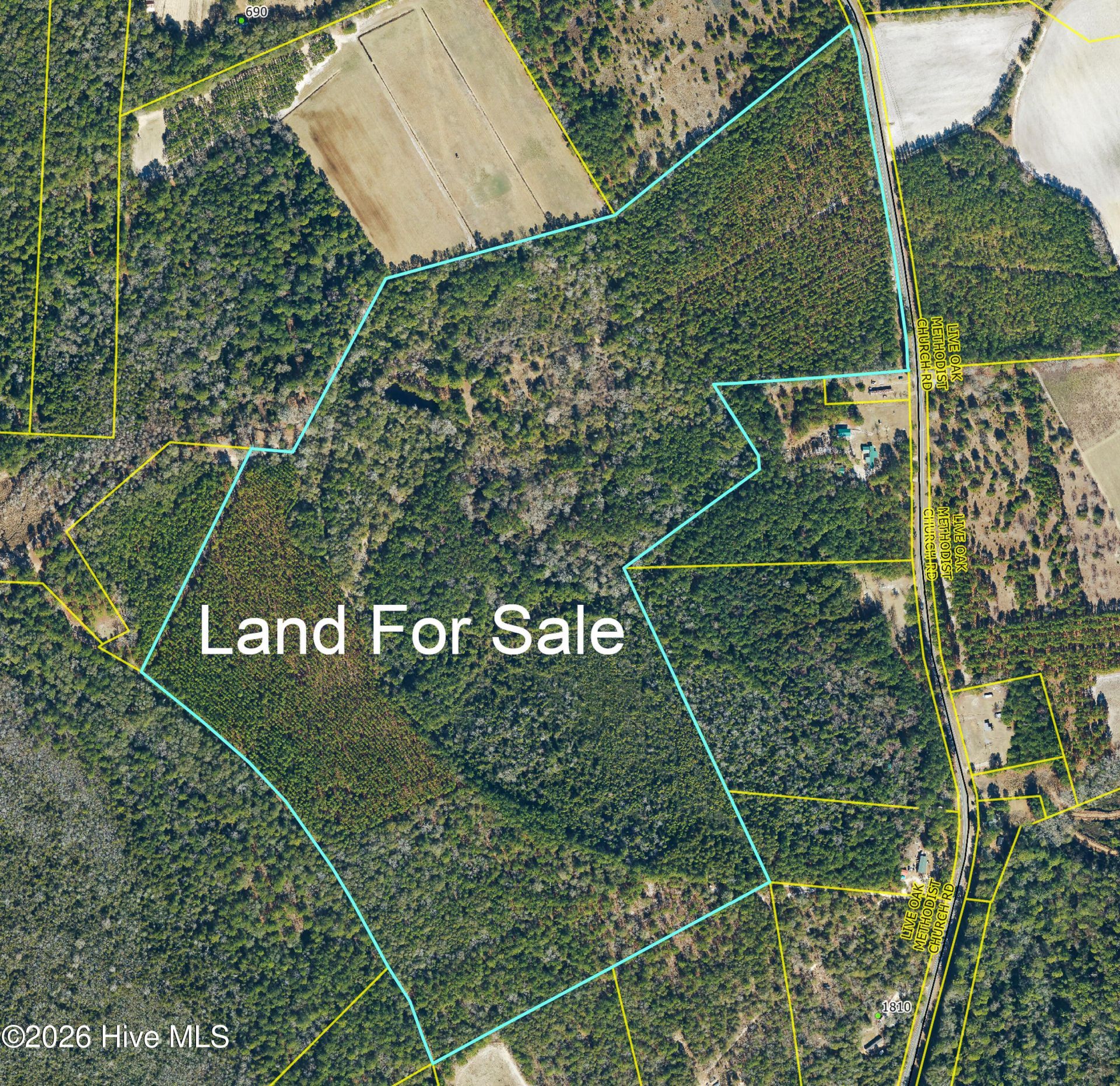 0 Live Oak Methodist Church Road, White Oak, NC 28399 Main Photo