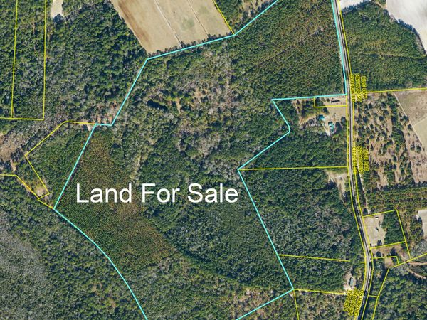 0 Live Oak Methodist Church Road, White Oak, NC 28399