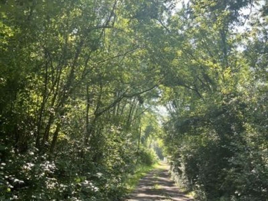 Main Photo