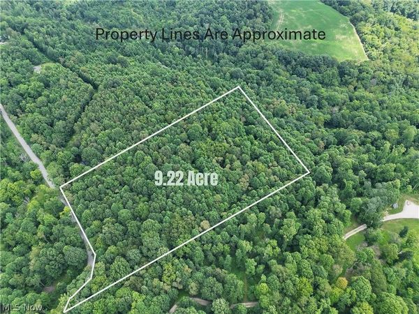 260 Ocelot Road NE, Salineville, OH 43945