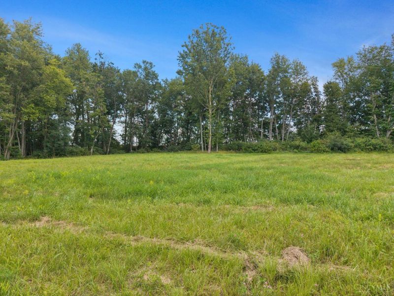 8020 Dr Faul Road, Georgetown, OH 45121 Photo 6