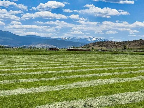 Lot 3 Solar Road, Montrose, CO 81403