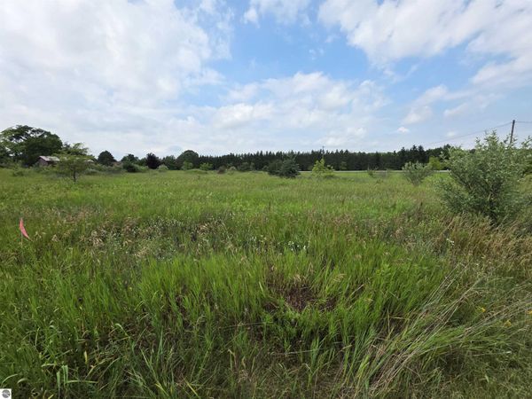 Remus Road W, Mt Pleasant, MI 48858