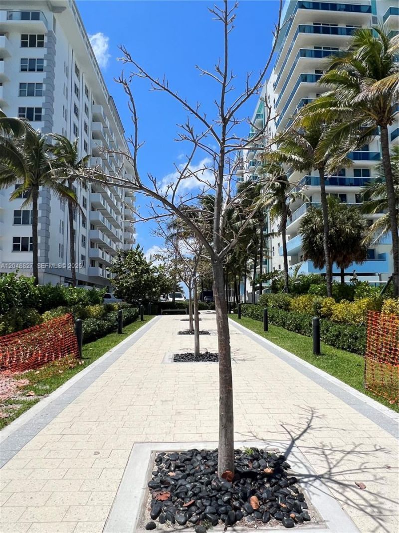 9172 Collins Ave , Unit 214, Surfside, FL 33154 Photo