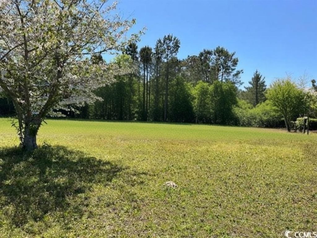 12727 Ocean Hwy. Photo 11