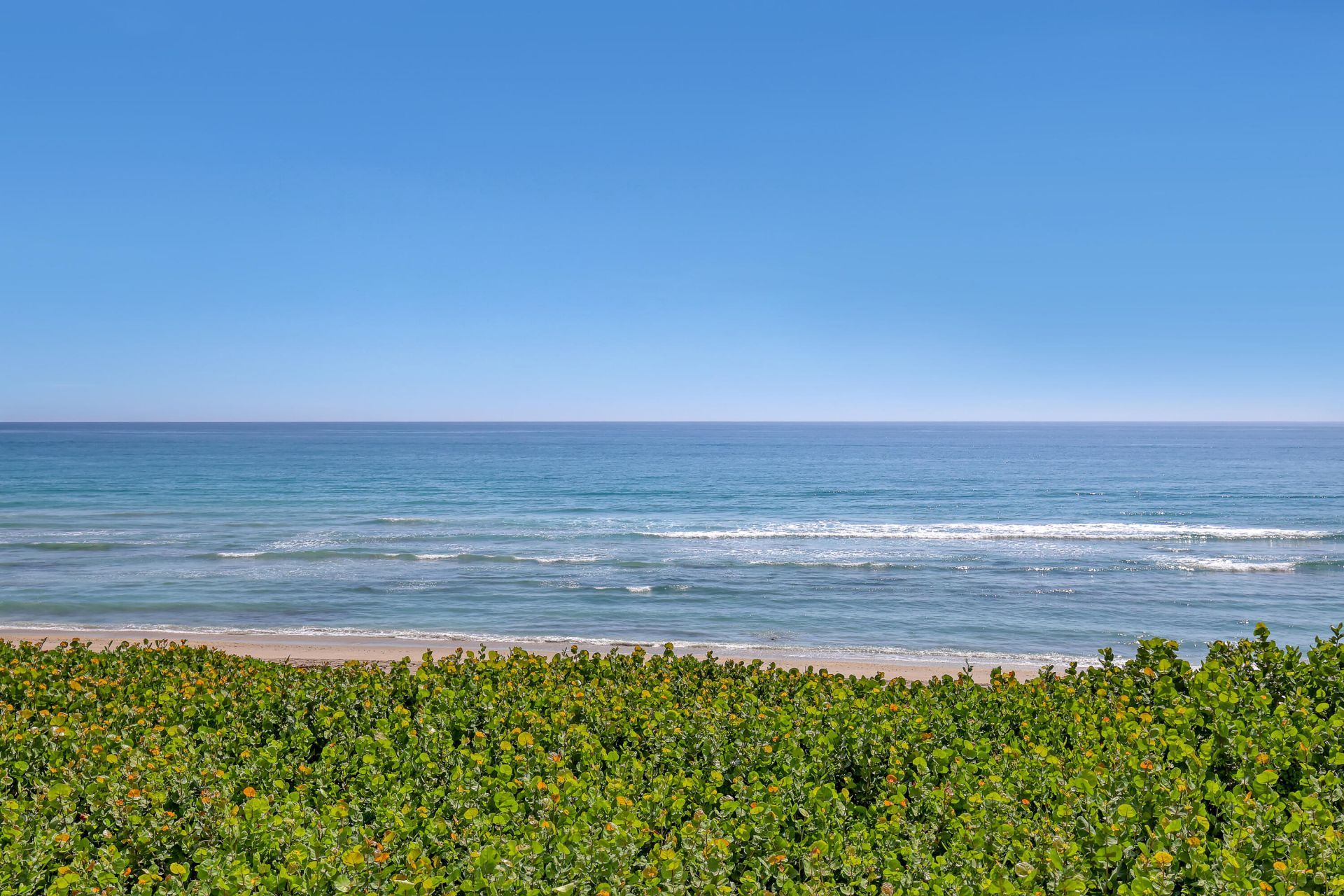 7420 S Ocean Drive, Unit 313, Jensen Beach, FL 34957 Photo