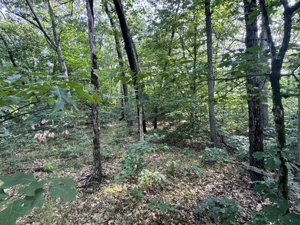 V/l E Washington Street, White Cloud, MI 49349