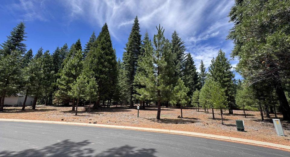 319 Alpine Fir Road, Lake Almanor, CA 96137 Photo