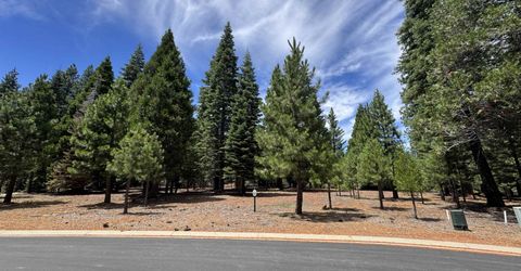 319 Alpine Fir Road, Lake Almanor, CA 96137 Photo