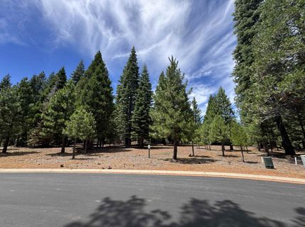 319 Alpine Fir Road, Lake Almanor, CA 96137 Photo