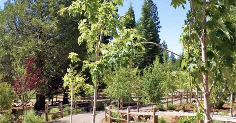 319 Alpine Fir Road, Lake Almanor, CA 96137 Photo
