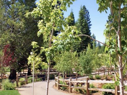 319 Alpine Fir Road, Lake Almanor, CA 96137 Photo