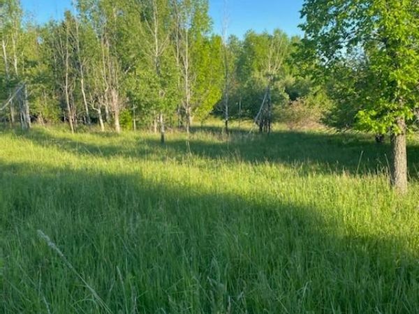 00 Donner DR, Germfask, MI 49836
