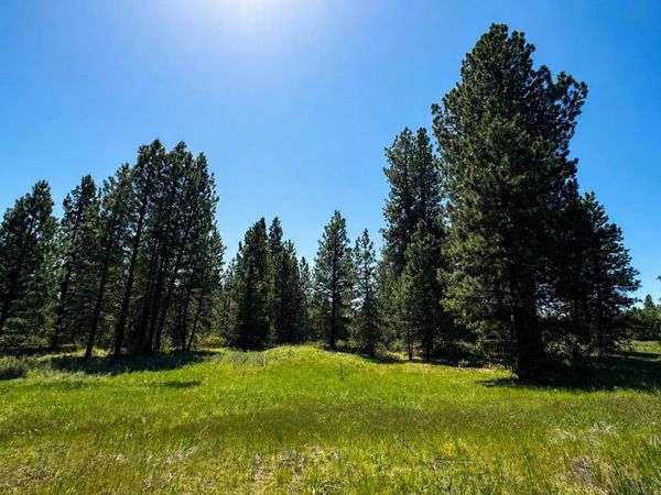 85 Nelsen Ave, Idaho City, ID 83631
