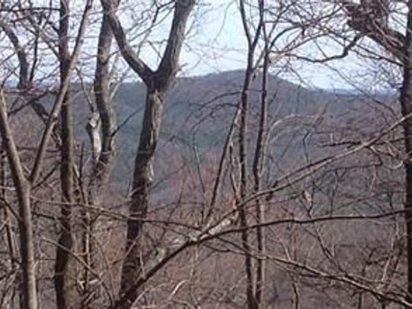 8112 Disharoon Drive , Big Canoe, GA 30143