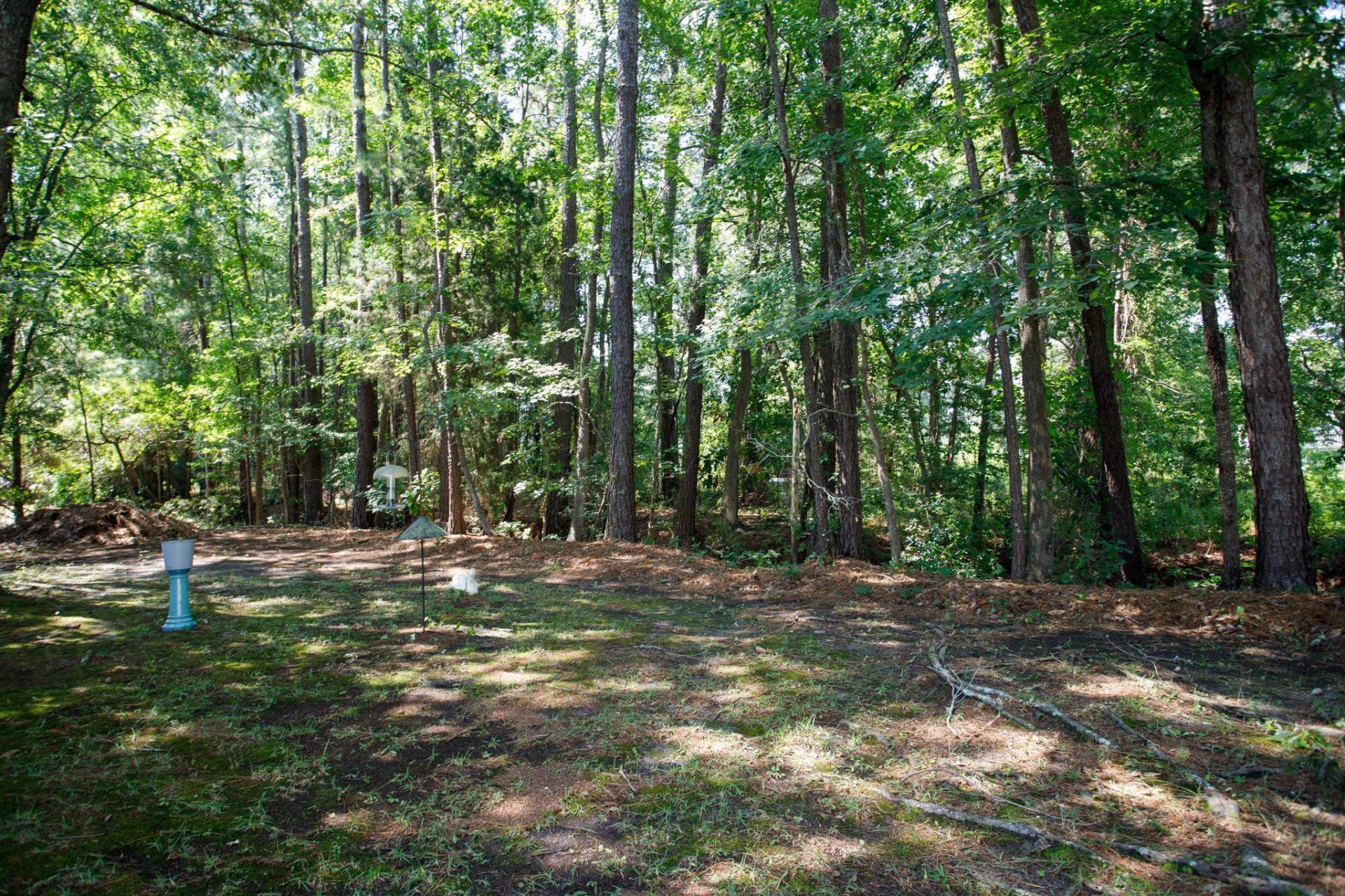 6624 Wintergreen Point  Photo 25