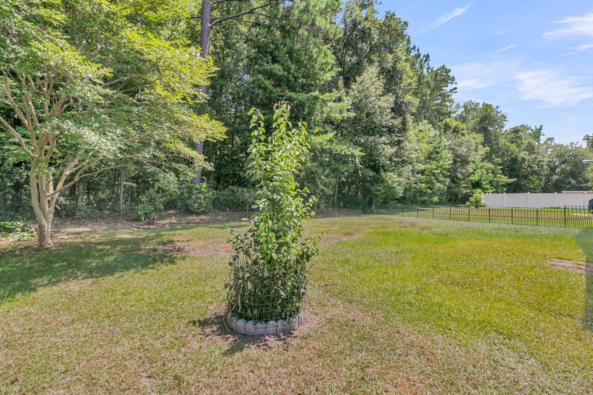 104 Savannah River Drive Photo 39