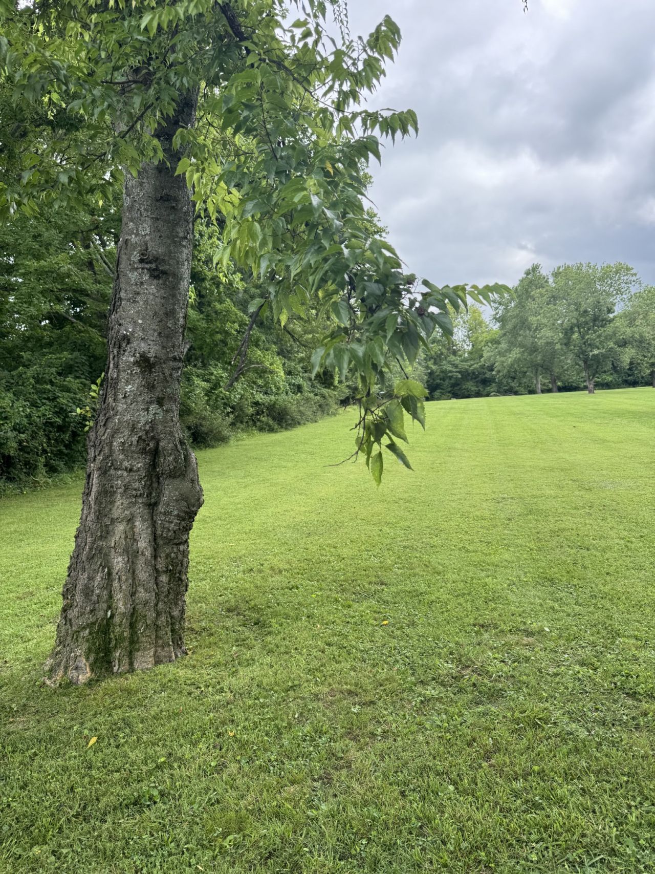 107 Tyne Bay Dr, Hendersonville, TN 37075 Main Photo