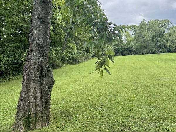 107 Tyne Bay Dr , Hendersonville, TN 37075
