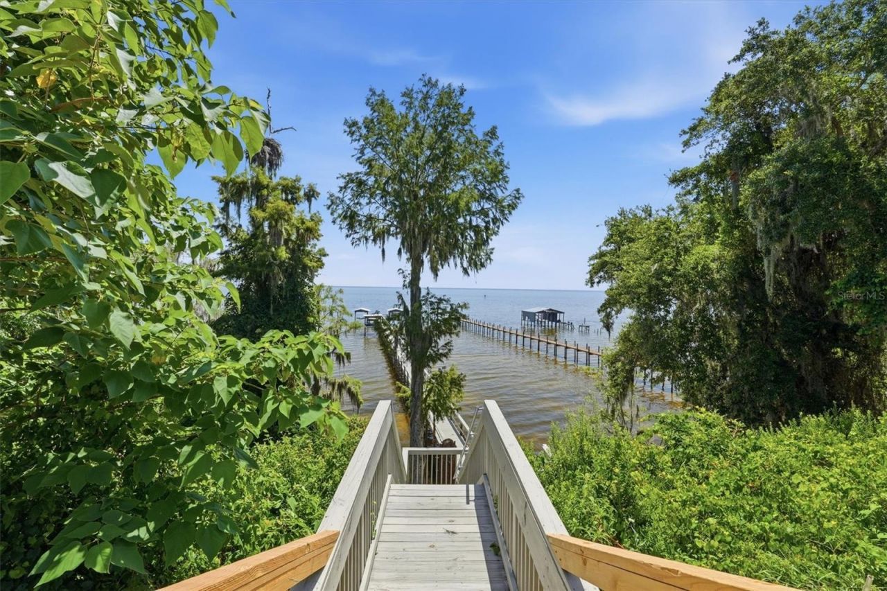 8085 NE 310th Avenue , Fort Mc Coy, FL 32134 Photo