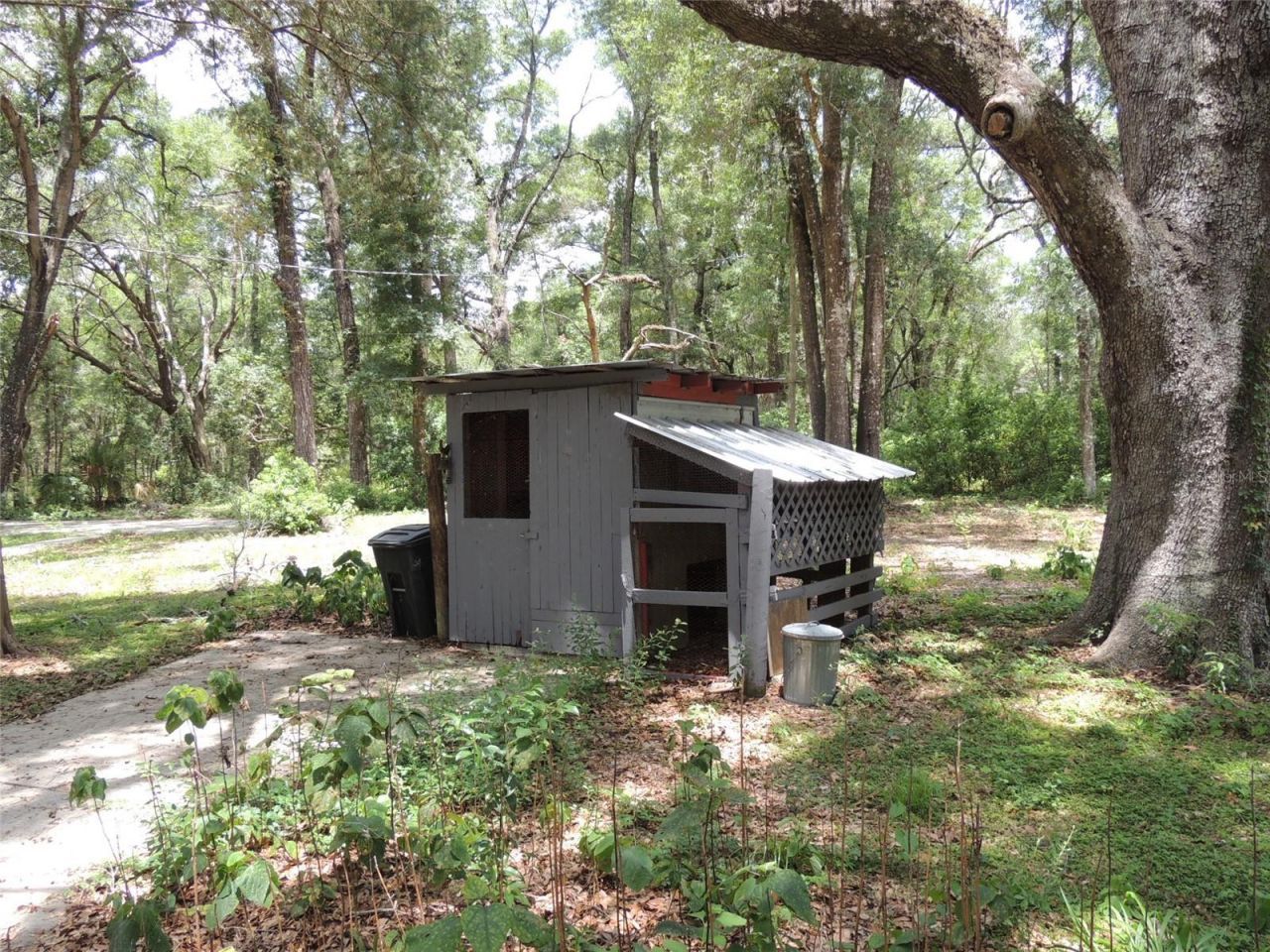 7850 NE 178th Terrace , Williston, FL 32696 Photo