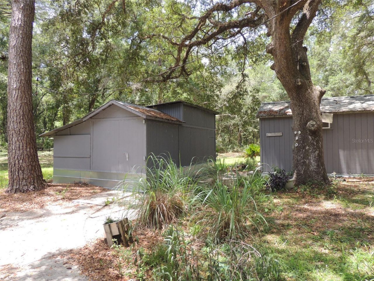 7850 NE 178th Terrace , Williston, FL 32696 Photo