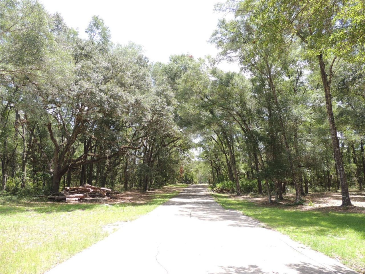 7850 NE 178th Terrace , Williston, FL 32696 Photo