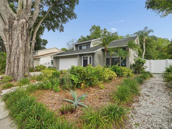 4712 DEERWALK AVENUE , TAMPA, FL 33624