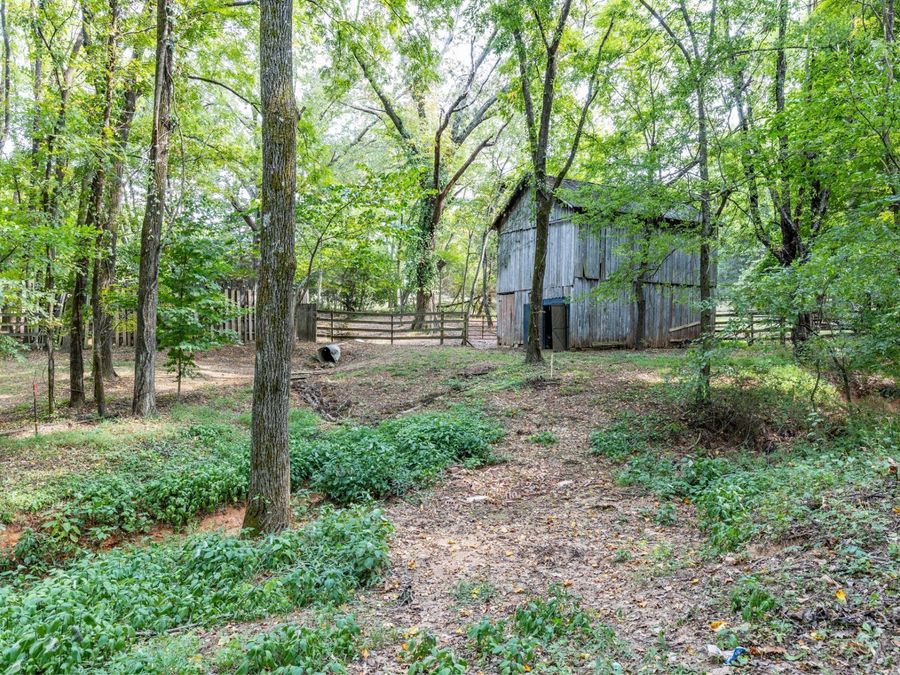 Property Image 34
