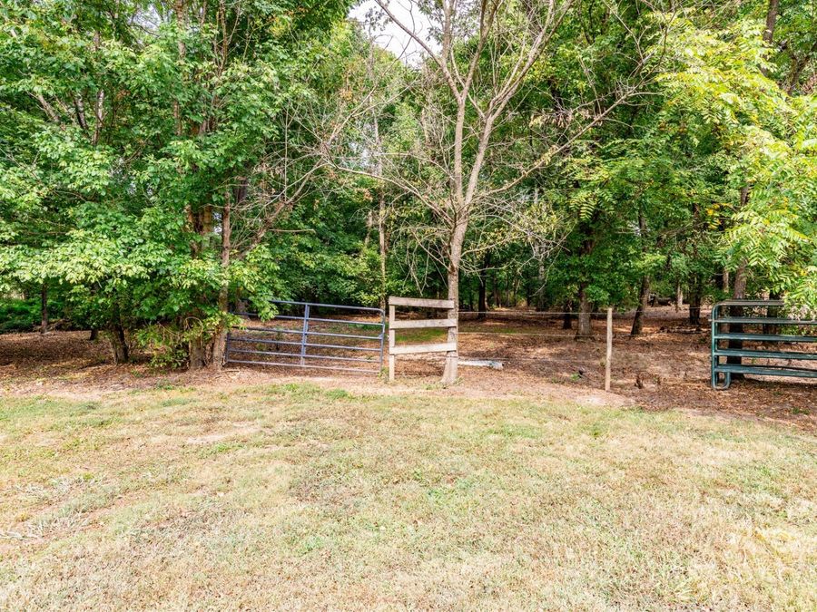 Property Image 56