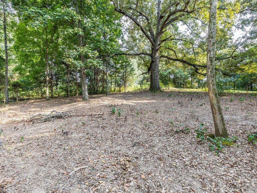 Property Image 67