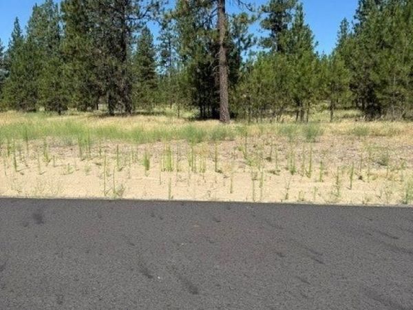 Lot 10 Long Lake Estates Est, Nine Mile Falls, WA 99026