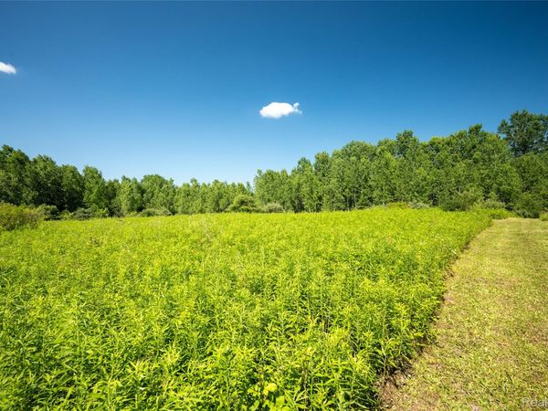 00 Hagerman Road, Addison Township, Mi 48367