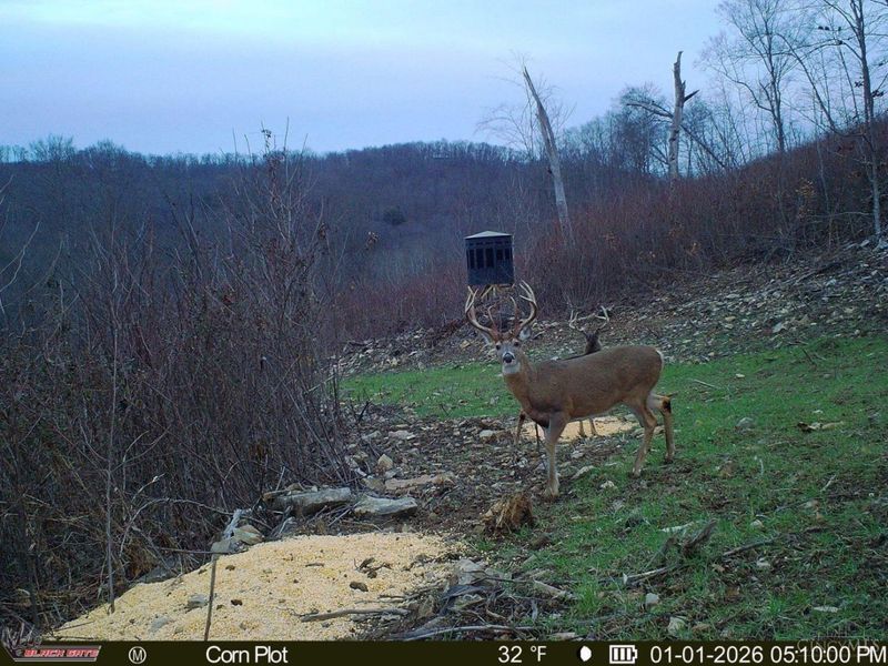 A Enley Road, Union Twp, OH 45652 Photo 29