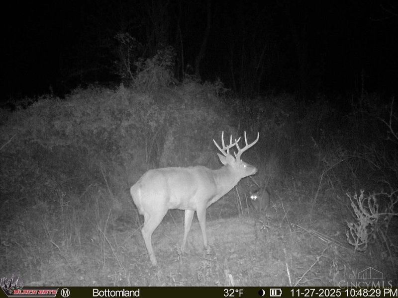 A Enley Road, Union Twp, OH 45652 Photo 30