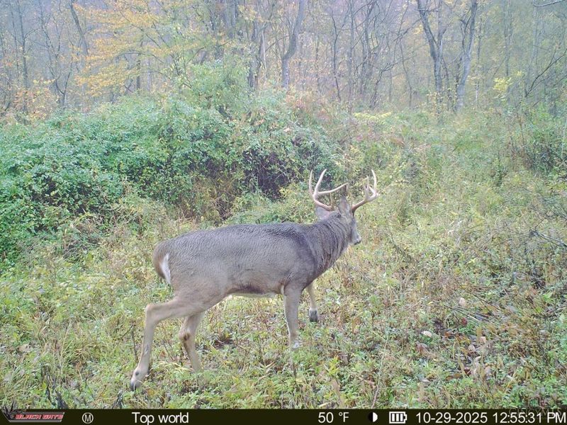 A Enley Road, Union Twp, OH 45652 Photo 33