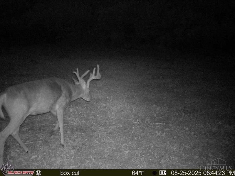 A Enley Road, Union Twp, OH 45652 Photo 35