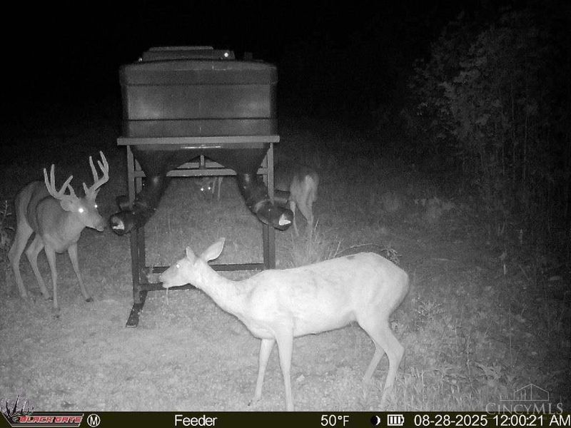 A Enley Road, Union Twp, OH 45652 Photo 36
