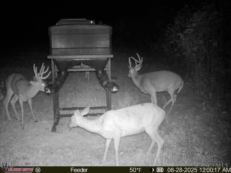 A Enley Road, Union Twp, OH 45652 Photo 37
