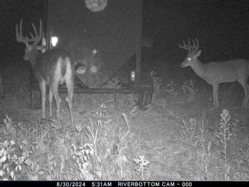 A Enley Road, Union Twp, OH 45652 Photo 62
