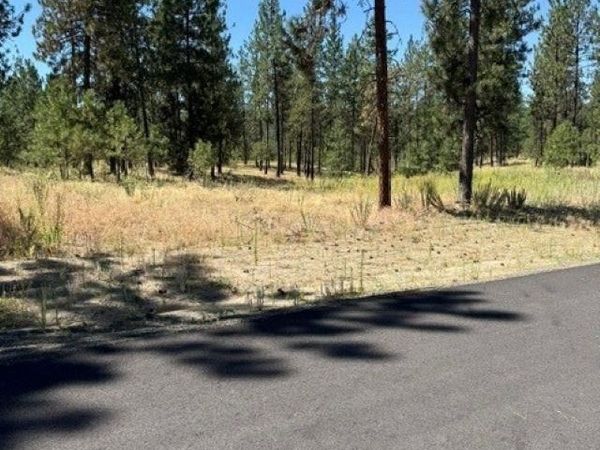Lot 11 Long Lake Estates Est, Nine Mile Falls, WA 99026