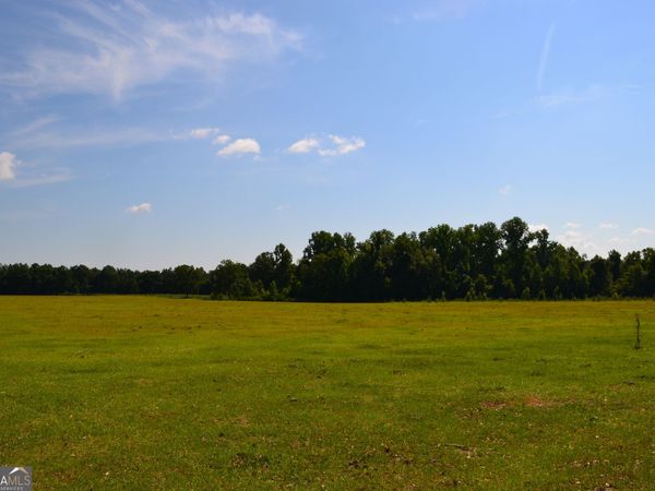 BISHOP Canoochee Road, Midville, GA 30441