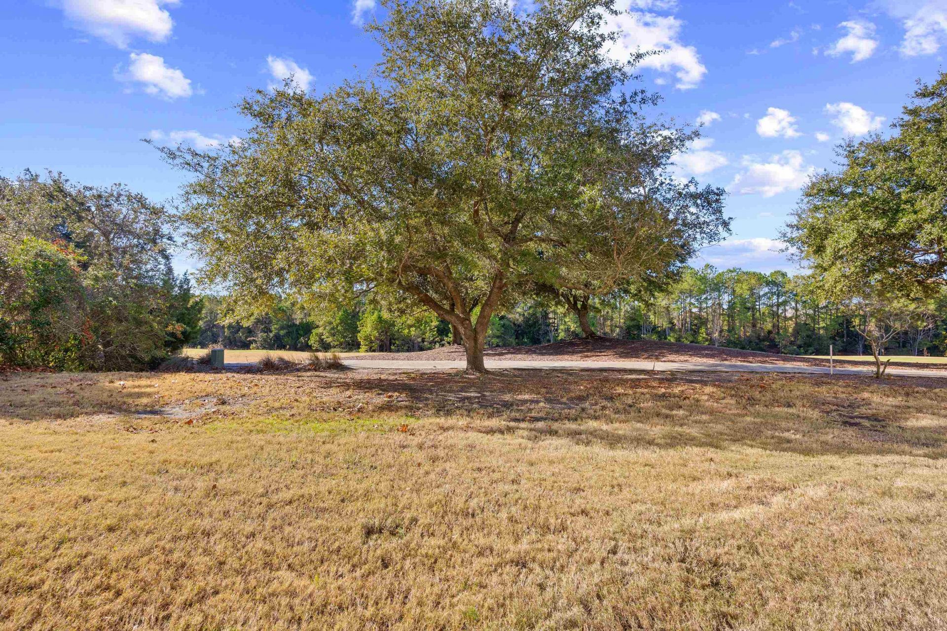 6203 Catalina Dr.  Photo 36