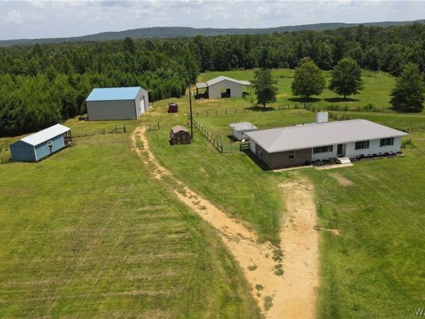 19281 Highway 171, Northport, AL 35555