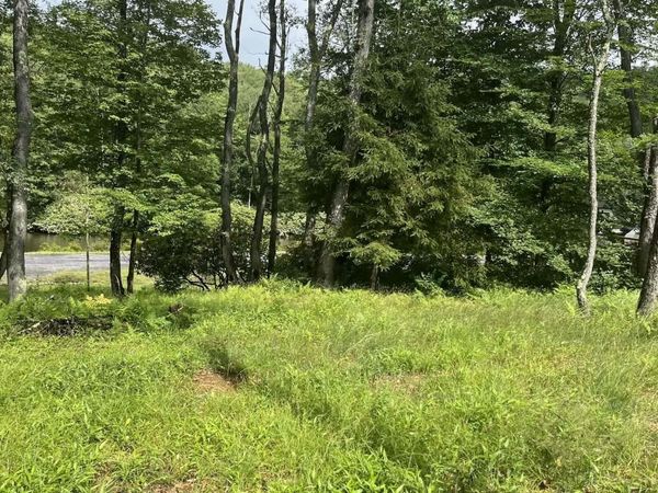 Lots 23-25 Blackwater Canyon Trail Road, Thomas, WV 26292