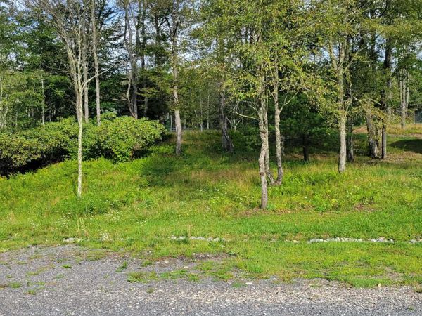 Lots 23-25 Blackwater Canyon Trail Road, Thomas, WV 26292