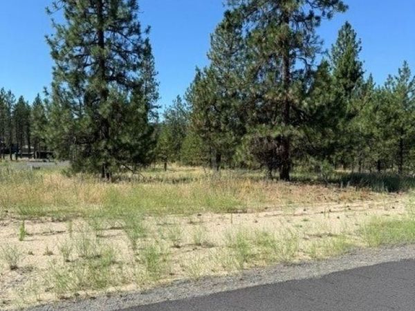 Lot 12 Long Lake Estates Est, Nine Mile Falls, WA 99026