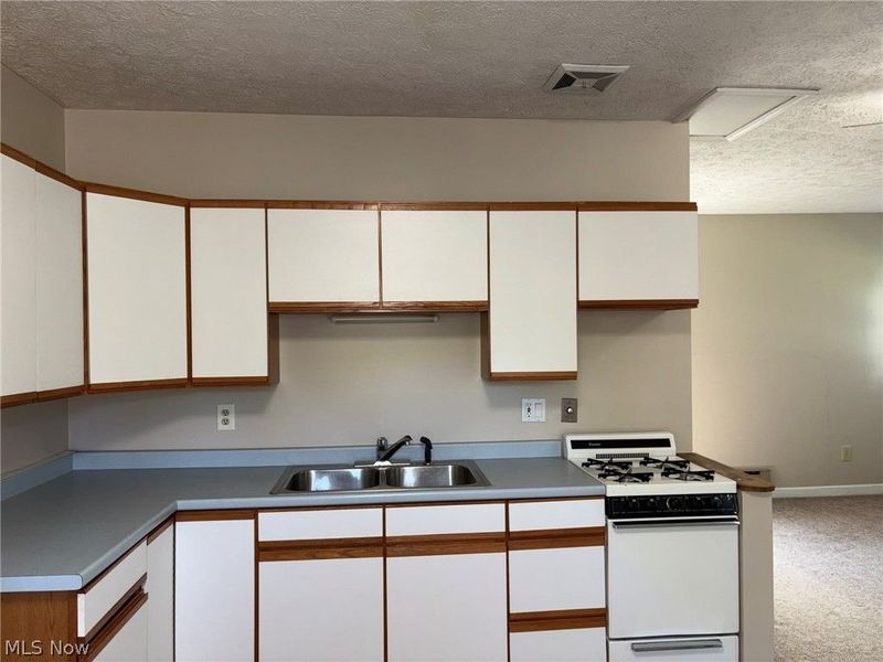 2140 Claus Road, Vermilion, OH 44089 Photo 19