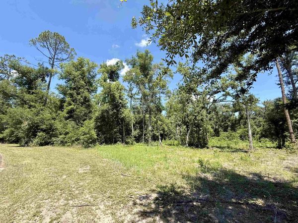 Vacant Wildwood Circle , Live Oak, FL 32064
